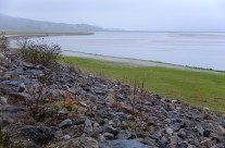 Walk on a Grey Day