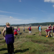 Morecambe Bay Walk