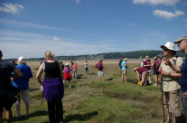 Morecambe Bay Walk