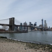 Breakfast in Brooklyn