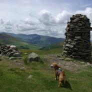 Whinlatter Wainwrights