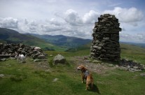 Whinlatter Wainwrights