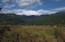 Life in Bumthang Valley