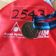 Windermere Great Swim