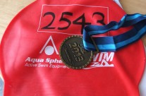 Windermere Great Swim