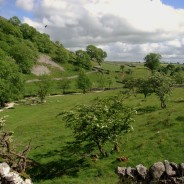 Yorkshire Technicolour