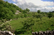 Yorkshire Technicolour