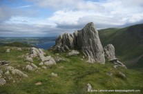 Windy Day Wainwrights