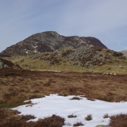Dog and Wainwrights
