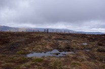 Bleaberry Fell