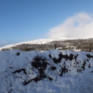 Sunshine in Coniston