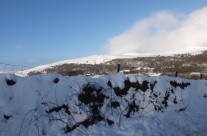 Sunshine in Coniston