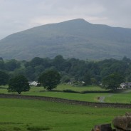 Open Access Over Torver