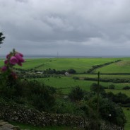 Westerly Wainwright