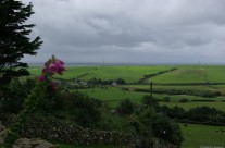 Westerly Wainwright