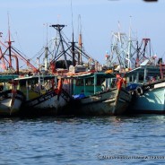 Colourful Kota Kinabalu