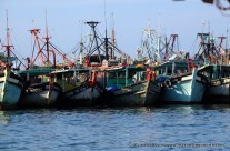 Colourful Kota Kinabalu
