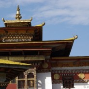 Paddy Fields of Punakha