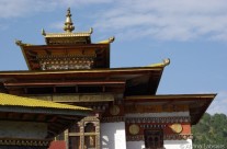 Paddy Fields of Punakha