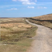 Yorkshire Stroll
