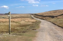 Yorkshire Stroll