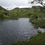 Warwickshire to Wainwrights