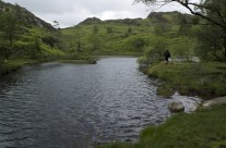 Warwickshire to Wainwrights