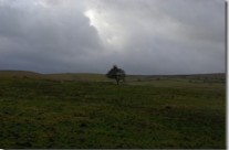 Kirkby Stephen Walk