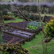 Brigsteer Woods
