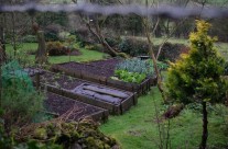 Brigsteer Woods