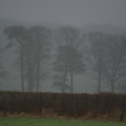 Devils Bridge to Whittington