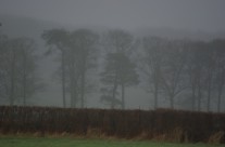 Devils Bridge to Whittington